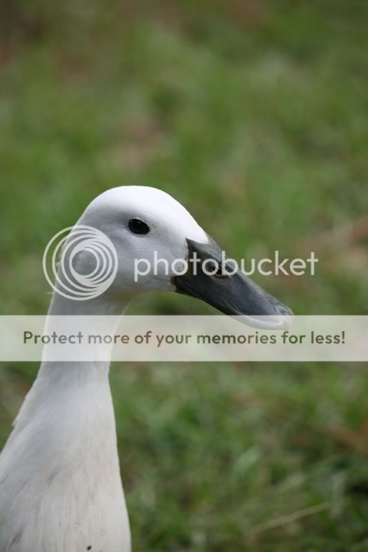 IMG_2517.jpg