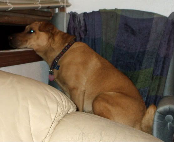 DSCF1870.jpg