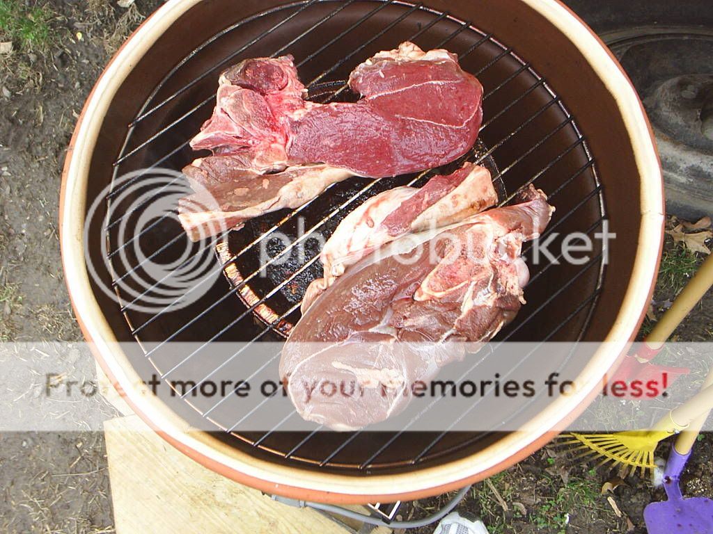 Picture.jpg