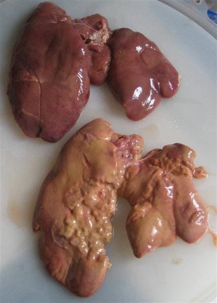ChickenLivers.jpg