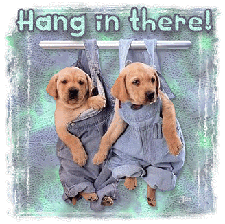 Hang_in_there.gif