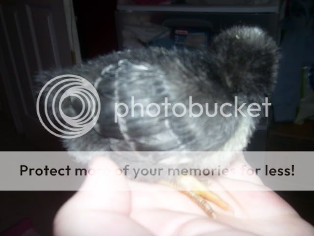 100_2563.jpg
