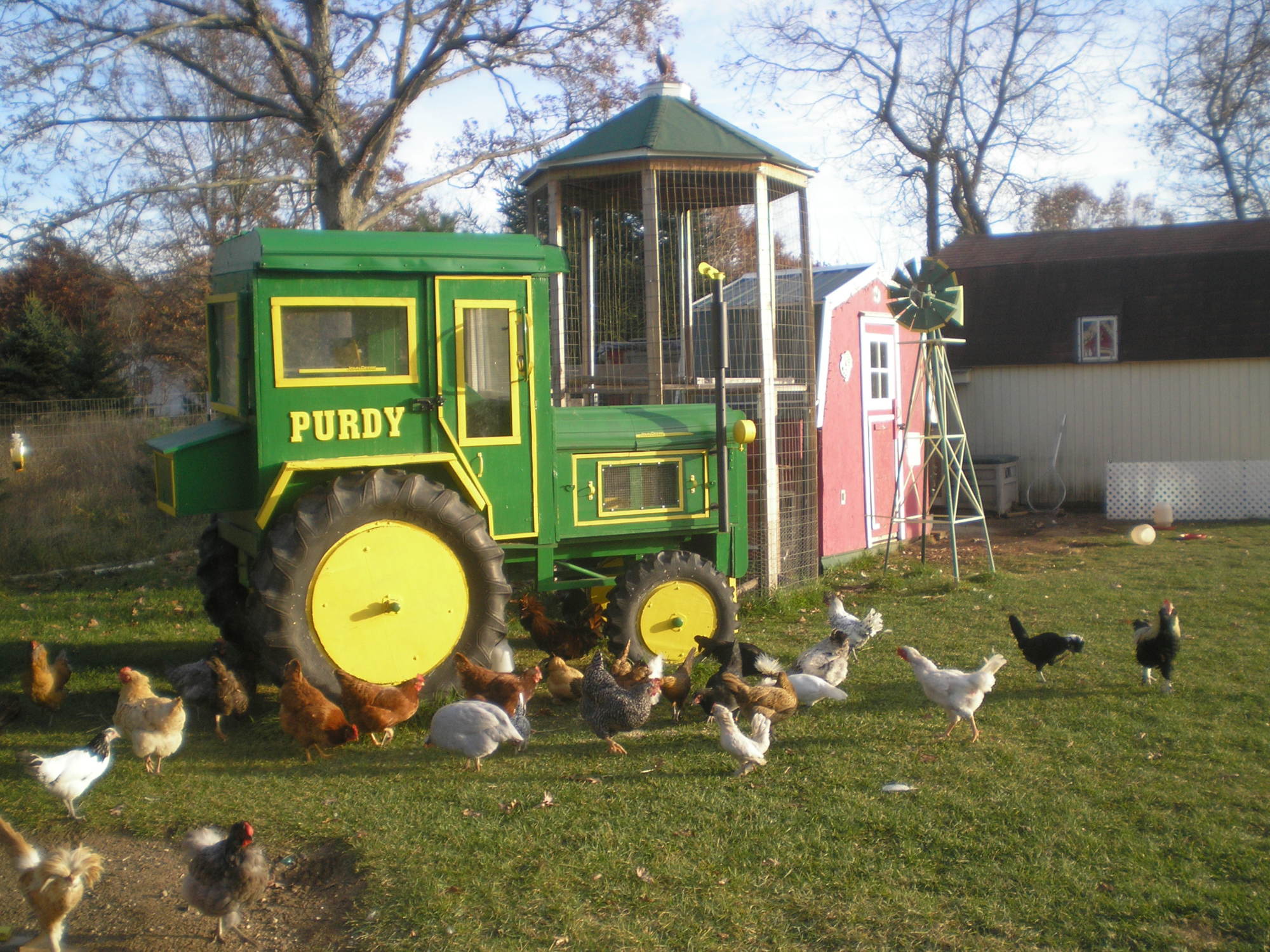 175x400px-LM-3767760d_MASSandchickens086.jpeg
