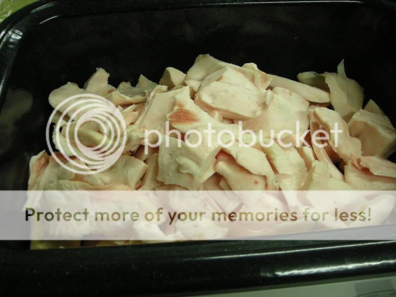 DSCN4606.jpg