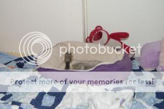 20110316_21.jpg