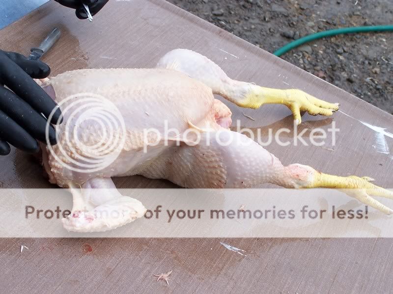 100_6761.jpg