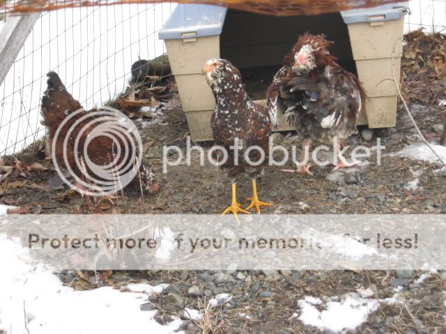 IMG_0163.jpg
