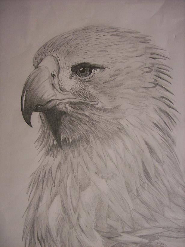 Golden_Eagle_Bust_by_Seneschal13.jpg