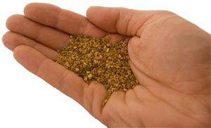 Flint-Grit.jpg