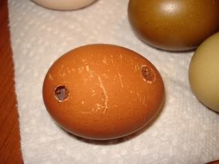holeyegg1.jpg