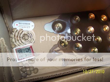 100_6118.jpg
