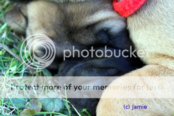 wrinkels.jpg