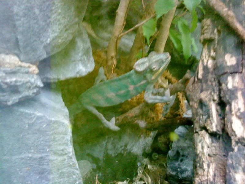 DSC08375.jpg