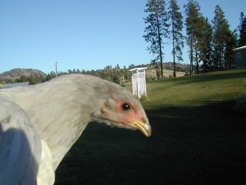 DSCN2877.jpg