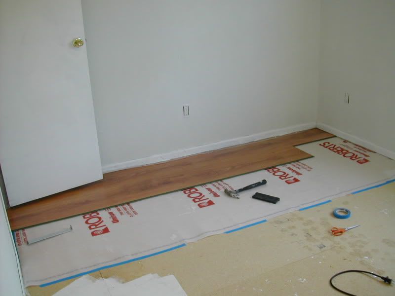 DSCN4242.jpg