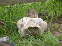 DSCN3822.JPG