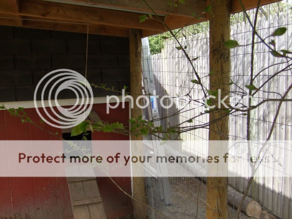 DSCF2153.jpg