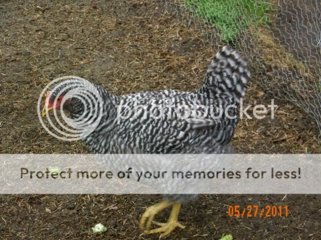 100_3320.jpg