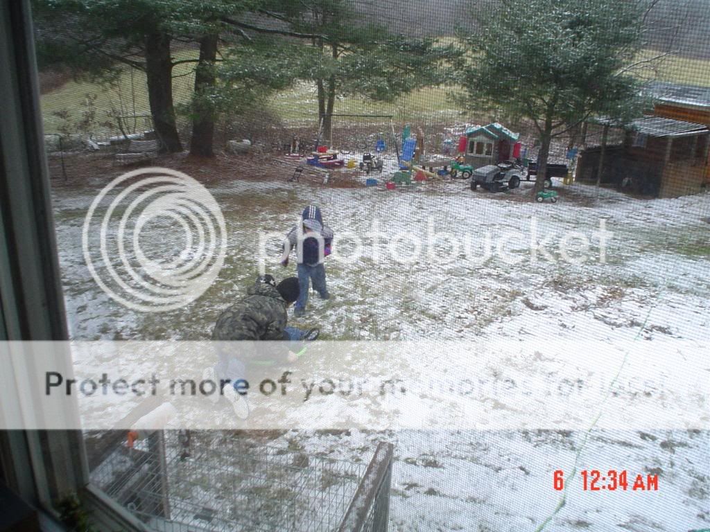 DSC06890.jpg