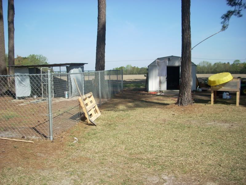 DSCN0376.jpg