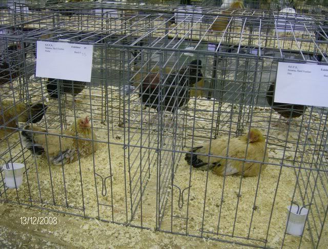 StocktonShow1-12-08040.jpg