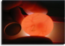 egg-1.jpg