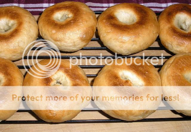 Bagels12-13-09004resize.jpg