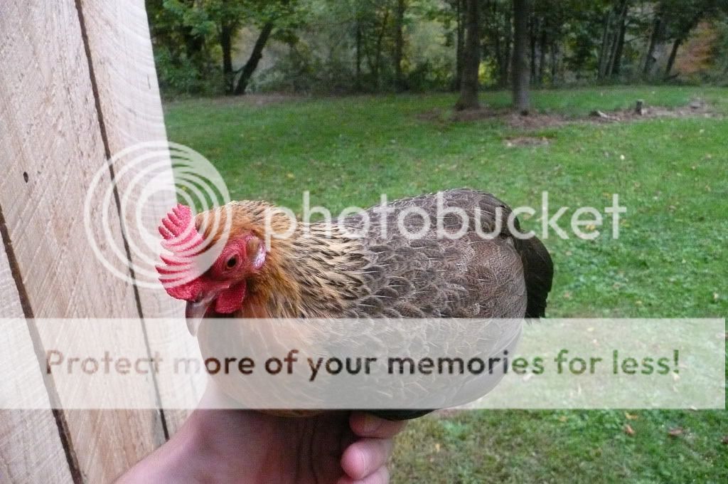 sept25th2011004.jpg