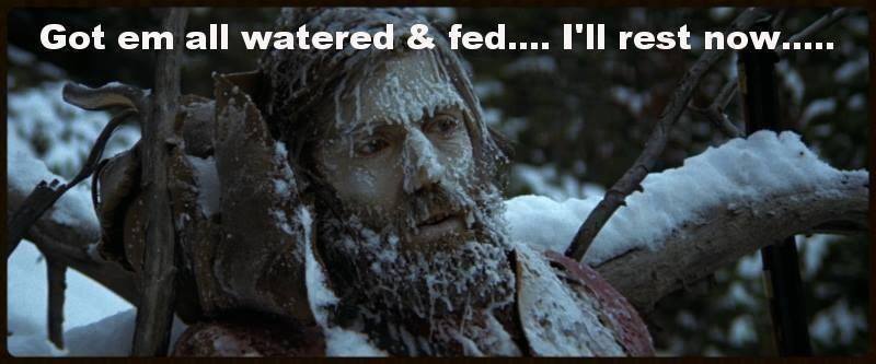 900x900px-LL-e7421569_waterfeed.jpeg