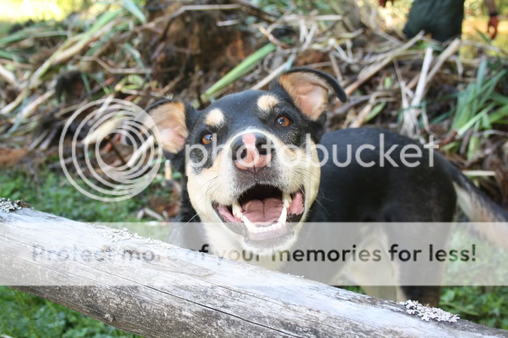 julyaugust10401.jpg