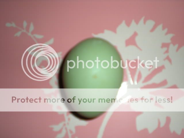 DSCN0101.jpg
