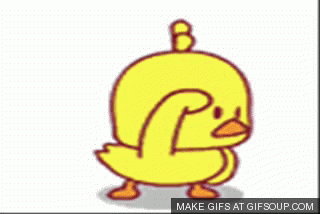 8hyX.gif