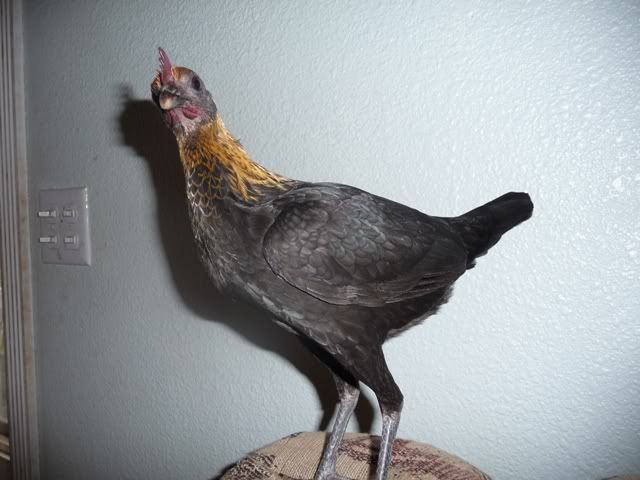 P1010957.jpg