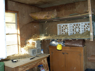 chicken+coop.JPG