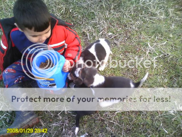 Picture012.jpg