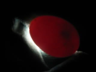 IMG_0665.jpg