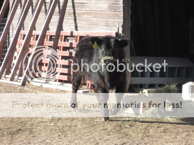 IMG_0007.jpg