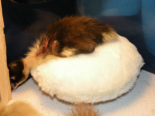 DSCN5708.JPG
