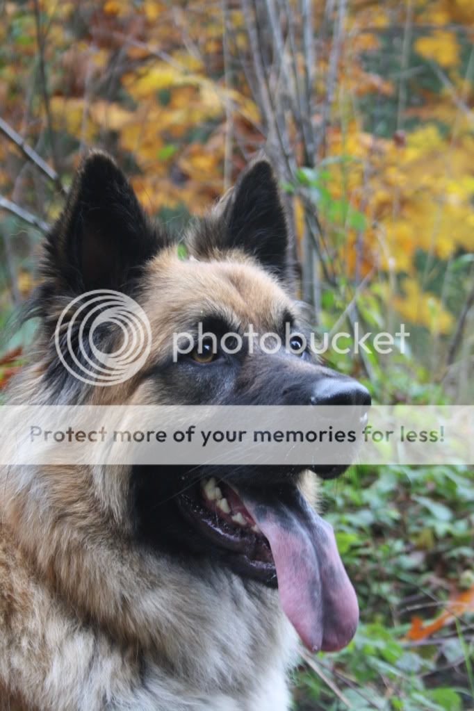october2010246.jpg