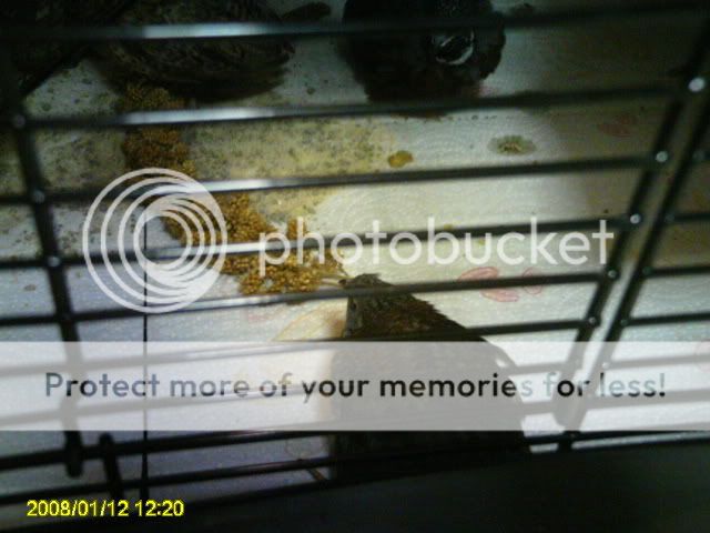 PICT0263.jpg