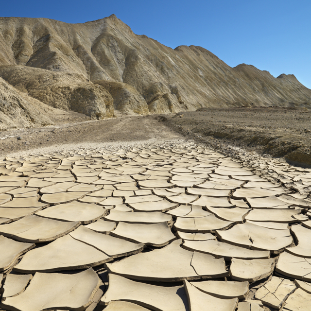 dry+desert.jpg