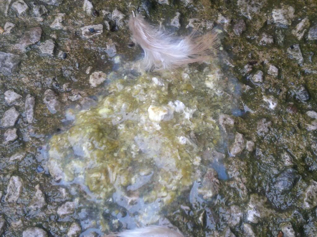 12102011039.jpg