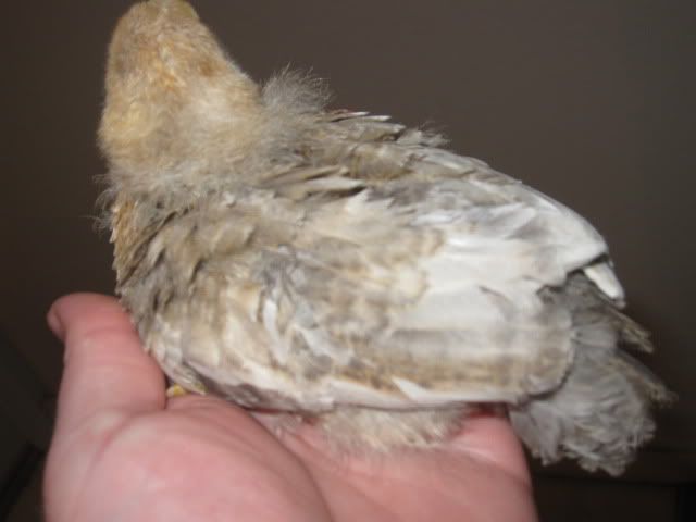 April2010017.jpg