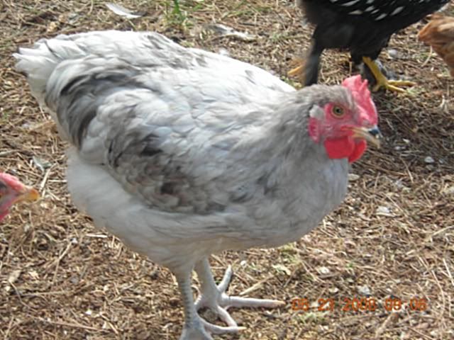 DSCN2840-1.jpg