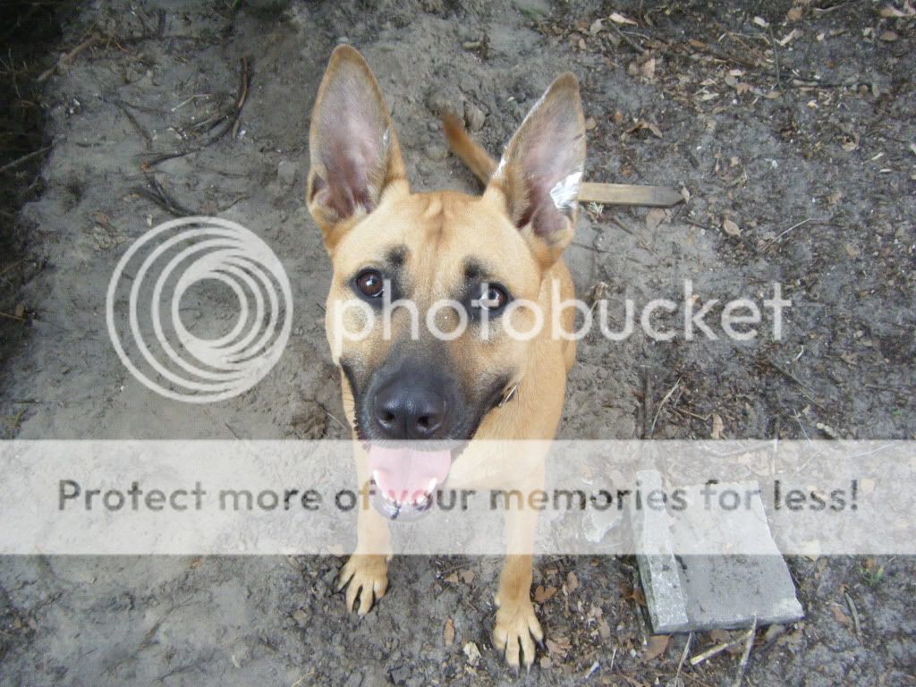 DSCF4536.jpg