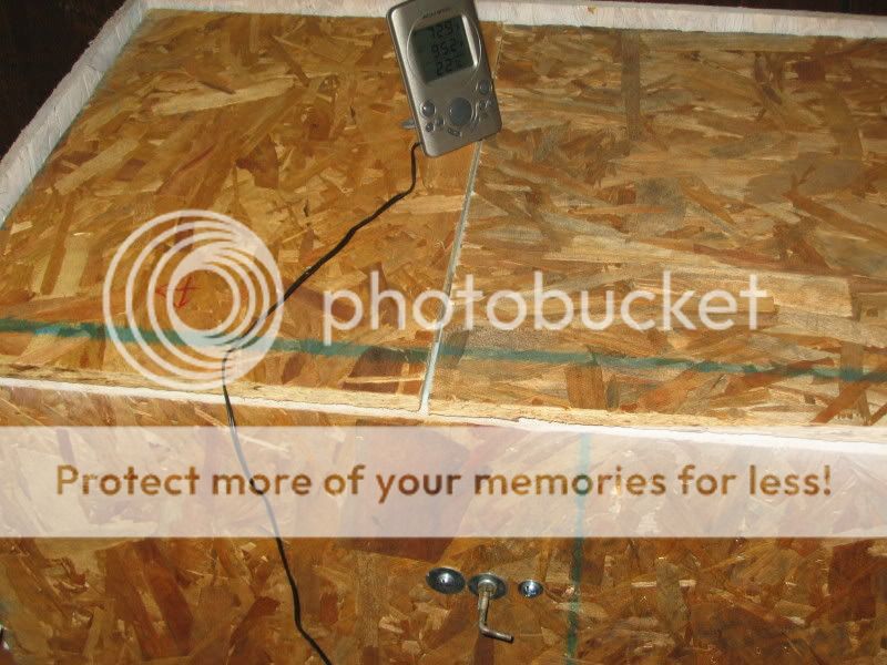 January2008037.jpg