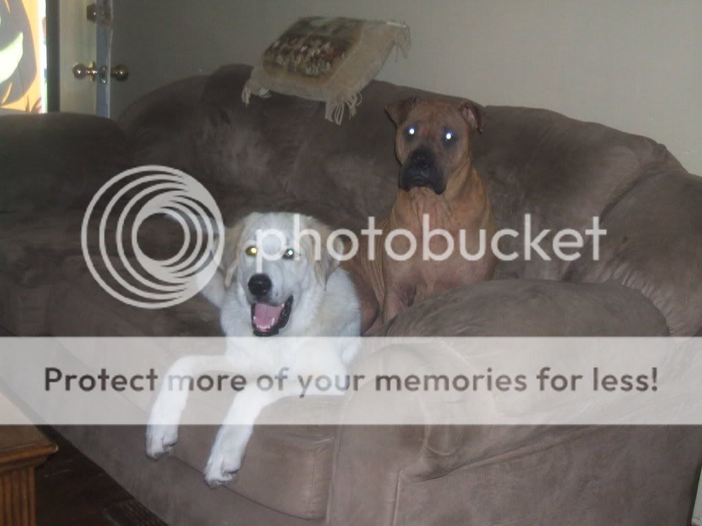 dscf0001-24.jpg