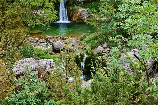 nature-2729596__340.jpg