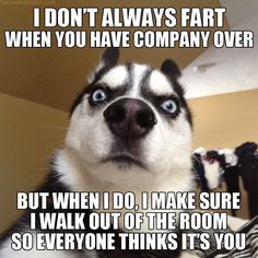 81c9e3a653be679c2090cbf2266daf83.jpg