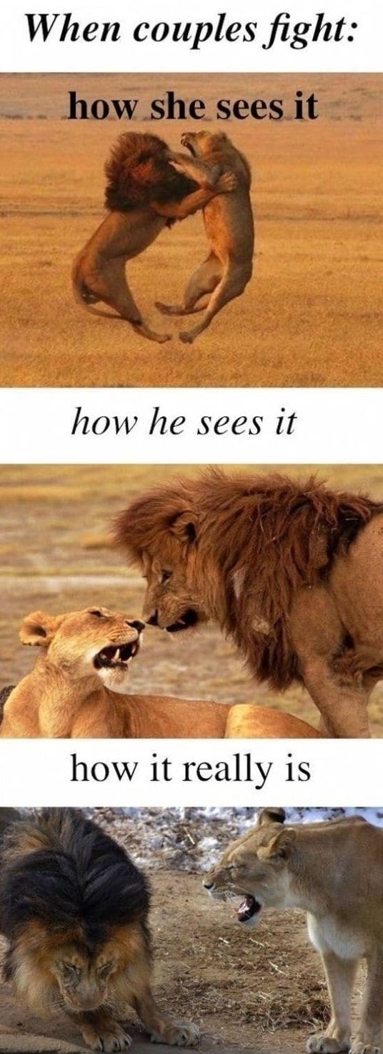 How-couples-fight.jpg